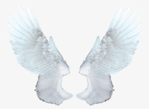 Angel Wings Png Transparent - Memory Of Michael Jackson #97808
