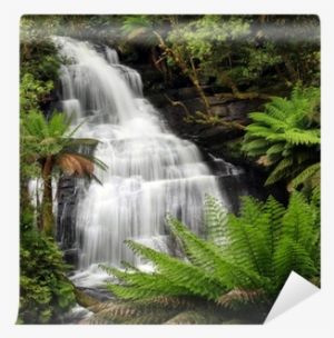 Tropical Wet Green Forest In India #98070