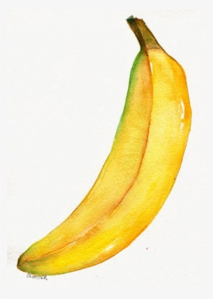 Image Stock Watercolor Painting Banana Illustration - Drawing #98254