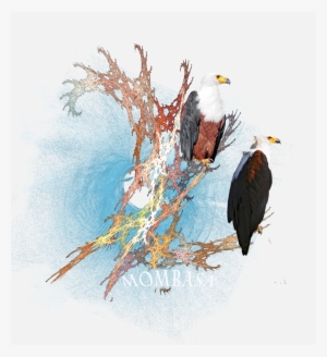 24 - - Creative Arts #98444