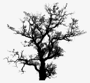 Tree Silhouette Drawing Trunk Free Commercial Clipart - Tree Old Png Free #98492