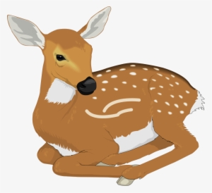 Deer 6 Free Vector - Deer Clipart Png #98514