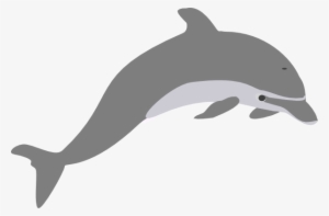 Dolphin - Dolphin Clipart Transparent #98926
