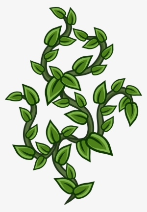 Vines - Vines Png #99057