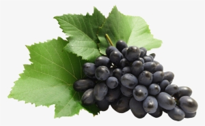 Fruits Png Images Hd #99404