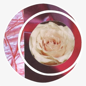 Risk Management #99502