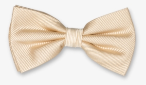 Champagne Bow Tie - Champagne Bow Tie Png #99746