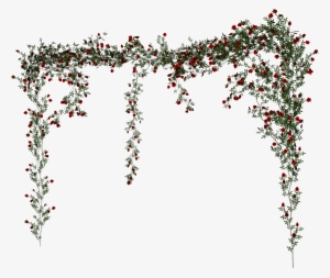 Rose Vine Png Banner Freeuse Download - Neuschwanstein Castle #99916