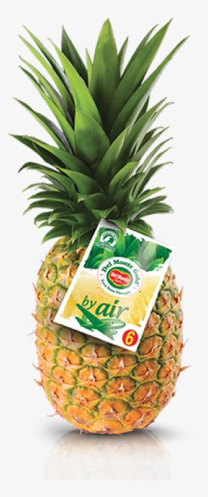 Del Monte Gold® By Air - Del Monte Whole Pineapple #900167