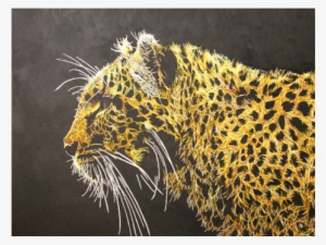 Bchs Today Volume - White Leopard Black Background #900317