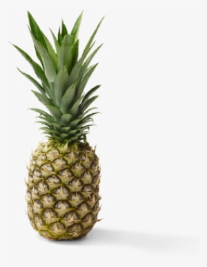 Pineapples - Ananas Dole #900410