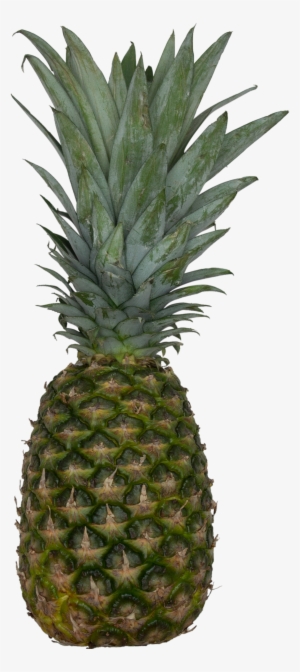 Pineapple #900677