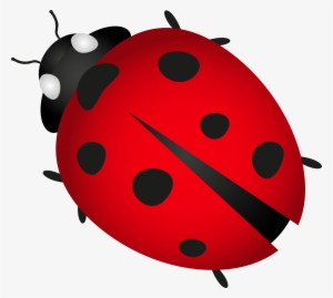 Clipart Png Insect - Ladybug Transparent #900803