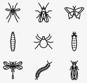 Insects - Insect Icon #900965