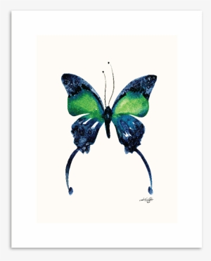 Home - August Grove 'butterfly 6' Watercolor Painting Print #900990