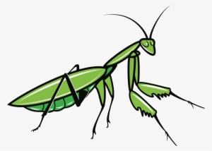 Big Image Png - Mantis Svg #901015