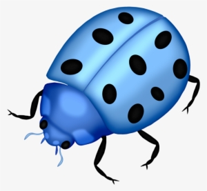 Bug Png Clip Art Lady Bugs And - Png Ladybug Blue #901416