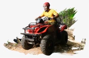 Emotions Native Park #902267