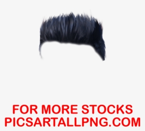 Picsart Editing Hair Png ,hair Png,picsartallpng - Asamblea Departamental De Antioquia #903355