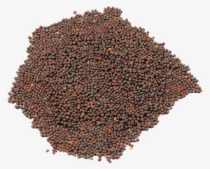 Brown Mustard - Coffee Bean Direct Irish Breakfast Loose Leaf Tea #903801
