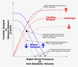 Starling Rap Combined - Starling Law Of The Heart #904305