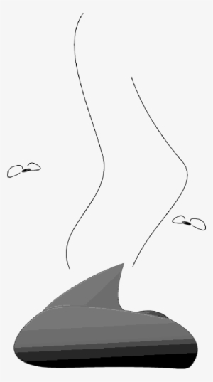 Mb Image/png - Feces #904434