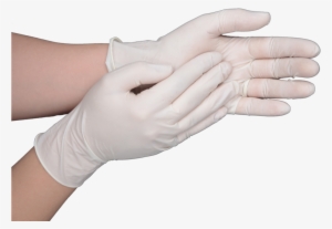 Latex Gloves - Medical Glove #906343
