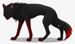 Lobo 46111 - Companion Dog #906415