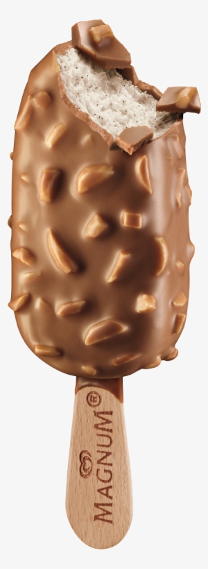 Magnum Classic Almond #906995