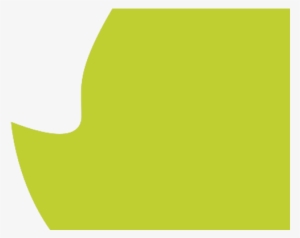 //finn Associates #907528