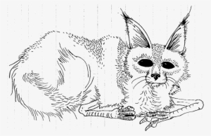 Download Where The Wild Things Are Coloring Pages At - Sketch #908815