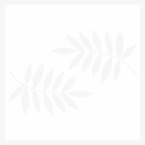 White Palm Leaf Png #908932