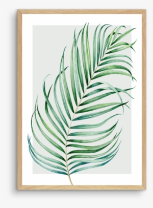 Watercolour Palm On Grey No 1 - Watercolor Painting #908998