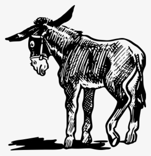 Donkey Clipart Png #909467