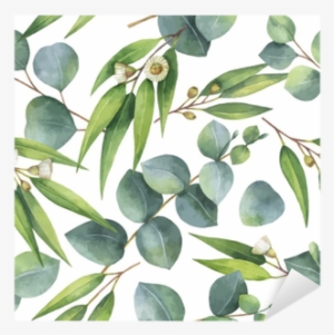 Watercolor Vector Seamless Pattern With Eucalyptus - Kaisercraft Open Road Bushwalk Paper #909570
