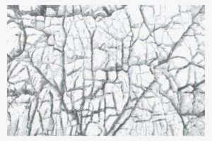 Vector Transparent Download Environment Textures Show - Library #909717