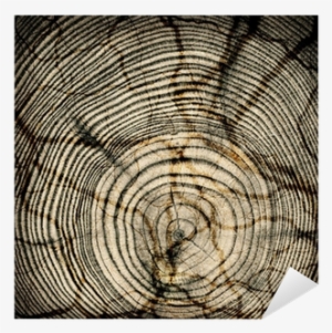 Close-up Crack Wooden Cut Texture With Burning Frame - Wood #909772