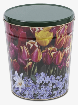 Share - Tulip #9001383