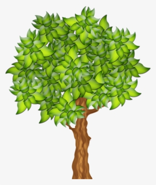 670 X 797 4 - Fruit Tree Clipart Png #9003174