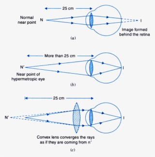 Schematic Diagram Of The Human Eye En-edit - Diagram Of The Eye - Free ...