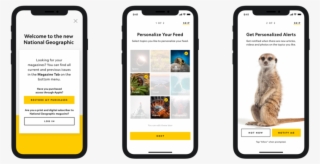 Onboarding Banner - Iphone #9003944