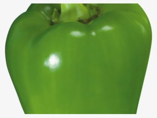 Vegetables Clipart Green Bell Pepper - Green Bell Pepper #9003947