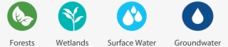There Are Four Primary Indicators Measured In The Watershed - Circle #9004904