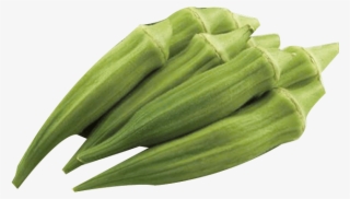 Okra - Lady's Fingers #9005103