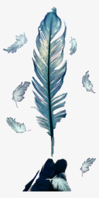 Feather #9005390 Feather #9005390