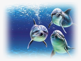 Welcome Friends - Sowar Jamila #9005417