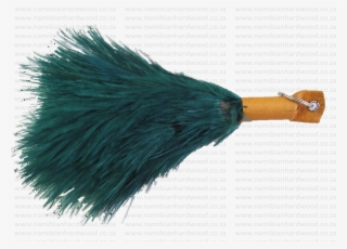 Nhwbush - Feather #9005599