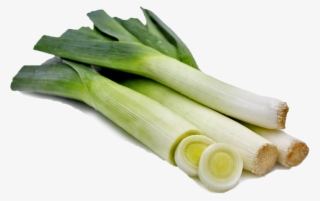 Leeks - Leek #9006069