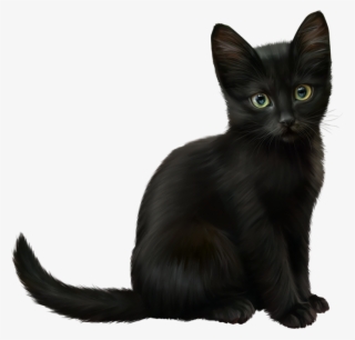 1 - Cat #9006876 1 - Cat #9006876