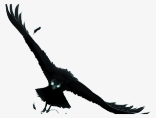 Drawn Raven Mid Flight - Anime Raven Png #9007509